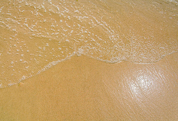 istock Sea waves roll on yellow fine sand 481141314