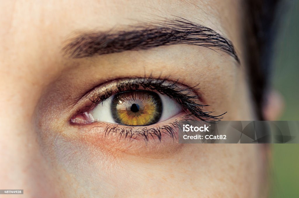 Marrón mujer ojo - Foto de stock de Ojo libre de derechos