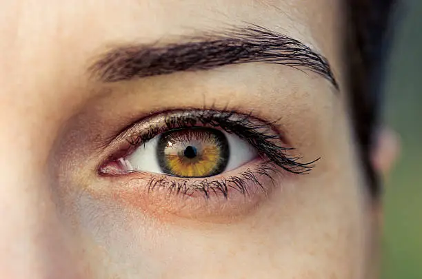 Brown eye of young woman