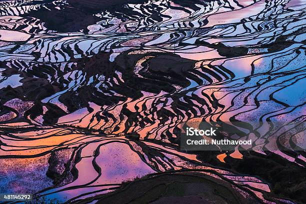 Rice Terrace Yuanyang Stock Photo - Download Image Now - 2015, Abstract, Agriculture