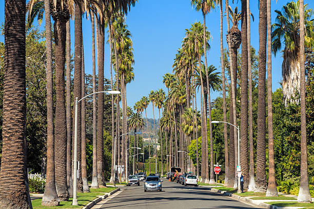 istock Streets of Beverly Hills 481148644