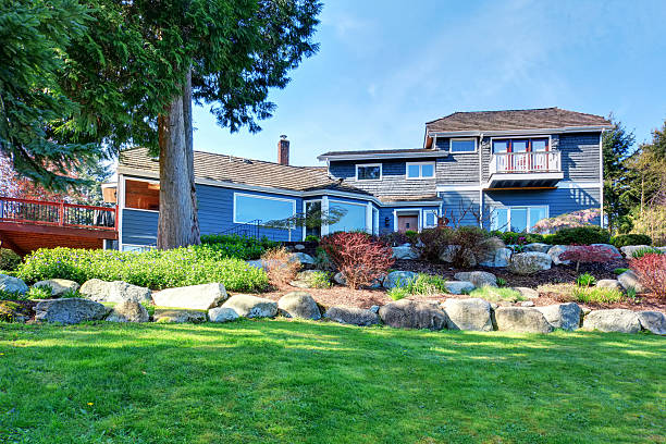 istock Beautiful back yard with lots of grass and greenery. 481148956