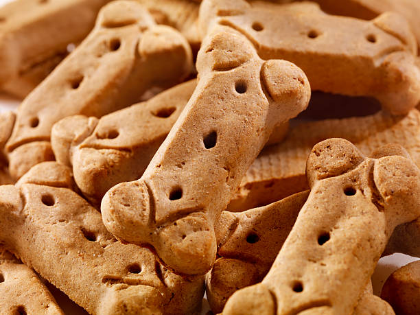 istock Bone Shaped Dog Treats 481151410