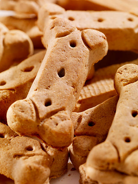 istock Bone Shaped Dog Treats 481151846