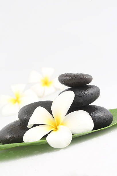 istock Zen stones with frangipani flower on white 481154904