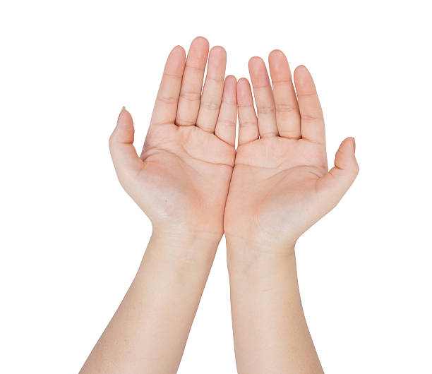 istock Women open hand isolated on white background 481162380