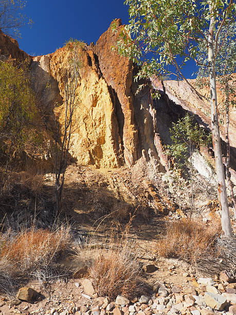 вверх охра линии и дерево в драй крик банки - aboriginal art australia cave painting стоковые фото и изображения