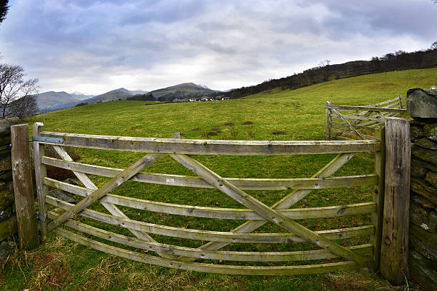 istock Farm Gate on the climb to Jenkins Crag 481166650