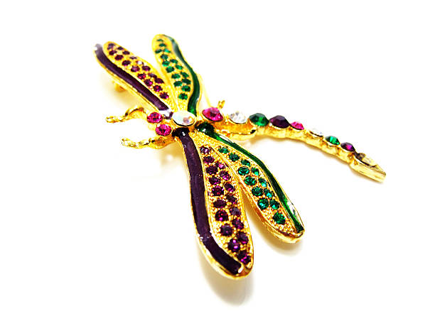 istock dragonfly jewellry brooch 481166976