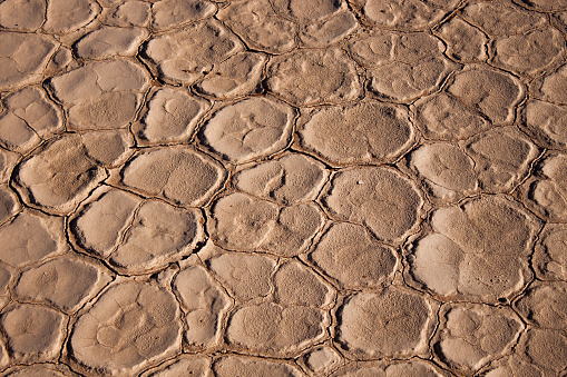Mud Cracks in the Namibian Desert, the deadvlei. Forming natural Patterns.