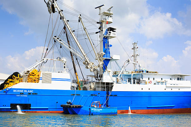 Hochiminh City, Vietnam - June 27, 2015: Transportation for export, at Cat Lai port import on Sai Gon river, boat crane to load containers, this is big harbor for trade service industry, Vietnam