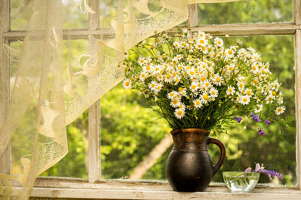 istock still life bouquet of chamomiles on a window sill 481171552