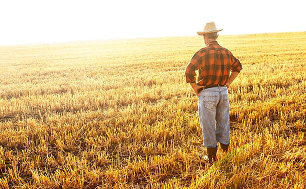 istock Senior farmer sitting on field 481172018