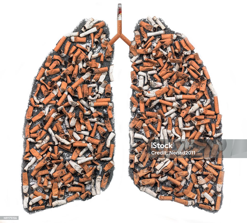Cigarette butts in pulmonary contour Cigarette butts and ash in the form of pulmonary contour on white background, as a symbol of the campaign against smoking Smoking - Activity Stock Photo
