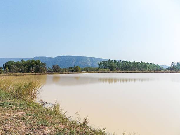 istock lake in country 481175768