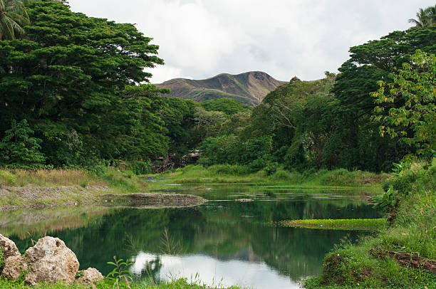 istock the water at the middle jungle 481176386
