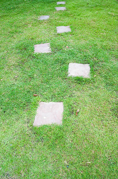 istock cement block path in the garden 481177974