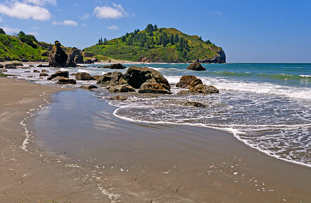 Trinidad State Beach in California