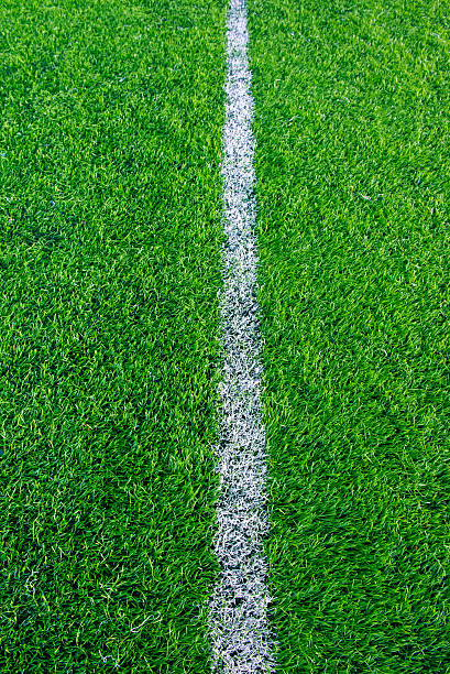 istock Football (Soccer) field 481182556