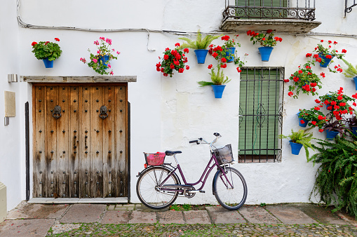 Beautiful Street of Cordoba. Cordoba is a beautiful city in the south of Spain. Whitewashed houses walls are decked out with flowers in terracotta pots. A purple color bicycle stands on the house.