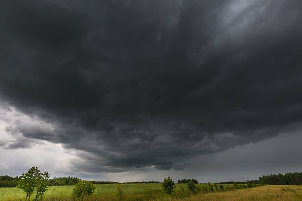 istock Dark stormy clouds over corn field at summer 481182858