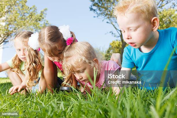 Preschoolers Exploring The Nature Stock Photo - Download Image Now - Child, Detective, Nature