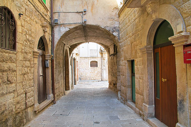 istock Alleyway. Molfetta. Puglia. Italy. 481188284