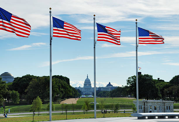 istock American flags at the Washington Mall 481190068