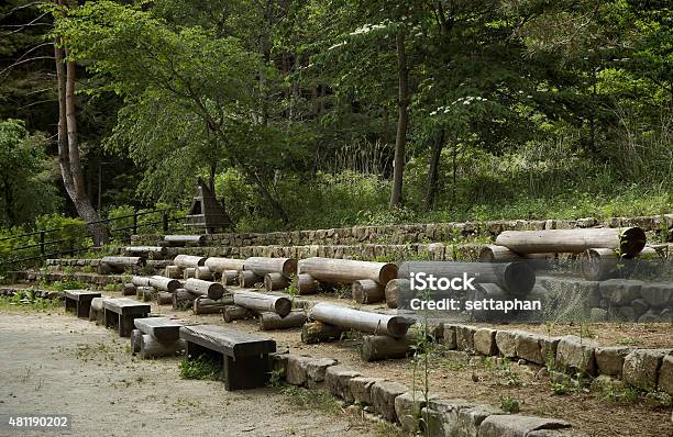 Wooden Upstairs Many On Forest Or Garden Stock Photo - Download Image Now - 2015, Arranging, Backgrounds