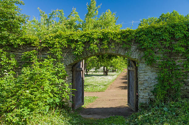istock Opened wooden gate covered by green climbing plant against blue 481190692