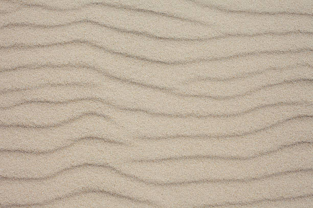 istock Close-up view of Baltic sand 481192607