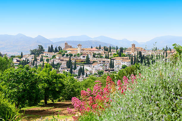 gesamtansicht der altstadt von granada, spanien - granada spanien stock-fotos und bilder