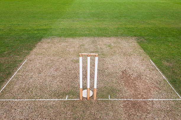 istock Cricket Pitch And Wickets 481194558
