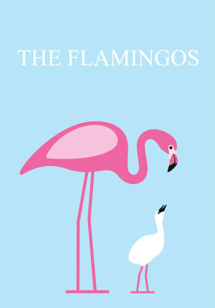 ilustrações de stock, clip art, desenhos animados e ícones de flamingo-fonte do seu bebé, vector - beautiful friendship wildlife nature