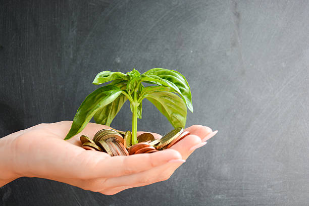 Human hand holding coins and a growing plant Human hand holding coins and a growing plant jade plant stock pictures, royalty-free photos & images