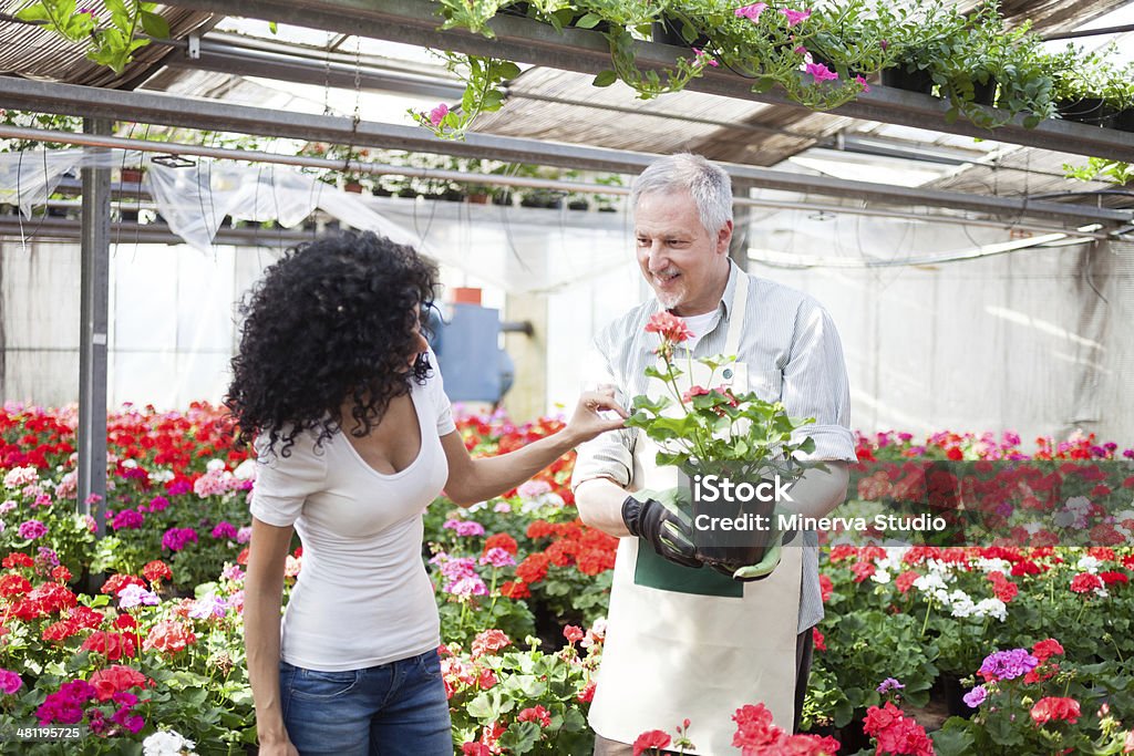 Flowers in a greenhouse Adult Stock Photo