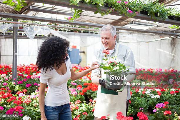 Flowers In A Greenhouse Stock Photo - Download Image Now - Adult, Blue-collar Worker, Business