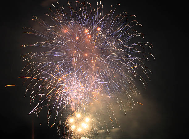 istock Japanese traditional fireworks in the night sky 481195903