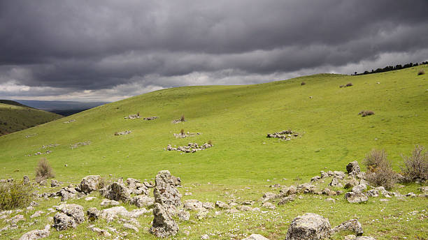 istock Green uncultivated land 481197551