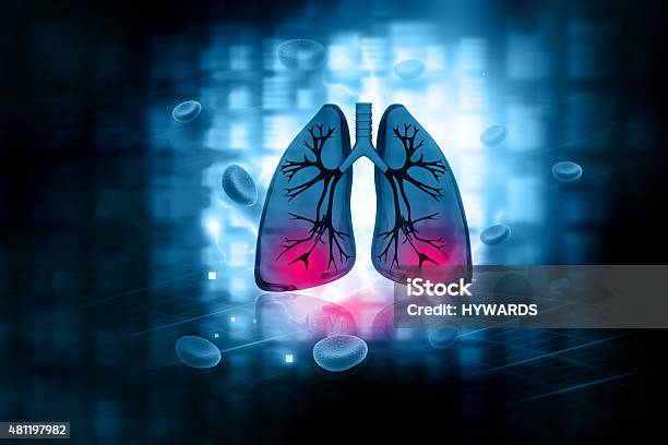 Los Pulmones Foto de stock y más banco de imágenes de 2015 - 2015, Abstracto, Anatomía