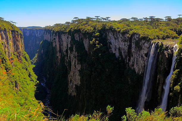 Cascade and Canyon Itaimbezinho in Rio Grande do Sul, Brazil Please, you can see in the link below Landscapes of southern Brazil, border with Uruguay and Argentina: beautiful pampa gaucho, fields, sunsets, sunrises, canyons, estancias (ranch, farms) and much more!! canyon itaimbezinho rio grande do sul santa catarina southern brazil stock pictures, royalty-free photos & images