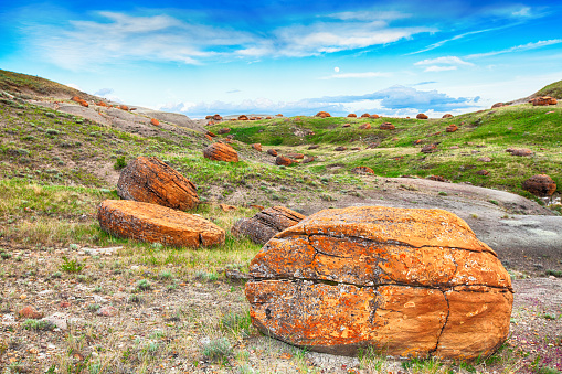 The Red Rock Coulee landscape features round reddish, prehistoric boulders. These are sandstone concretions and at up to 2.5 m in diameter, they are among the largest in the world.  Southern Alberta, Canada.