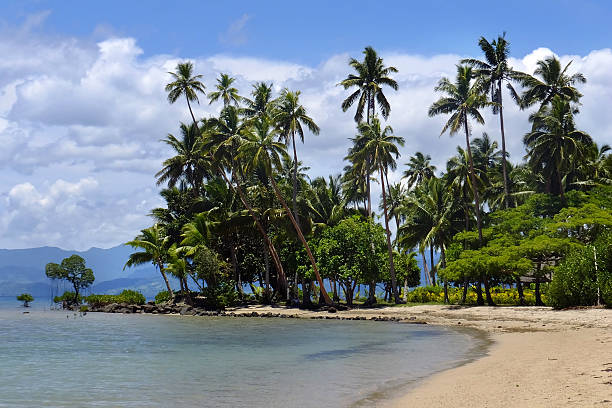 Aerial view over Caribbean Sea and Exotic Palm trees on Bacardi Island Cayo Levantado Samana Bay Dominican Republic