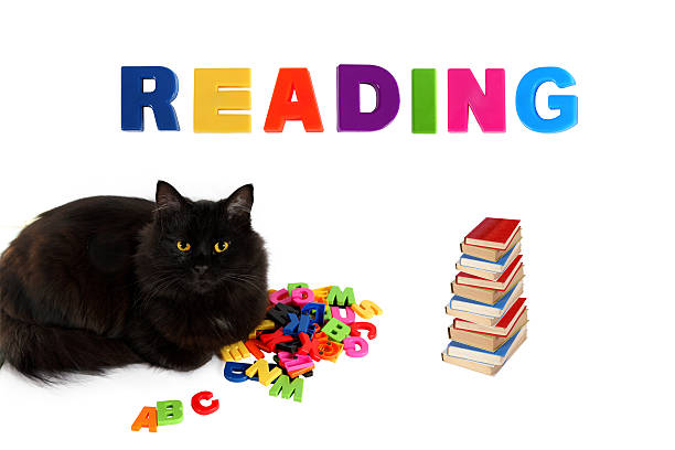 istock Alphabet and black cat with books on white background. 481202545