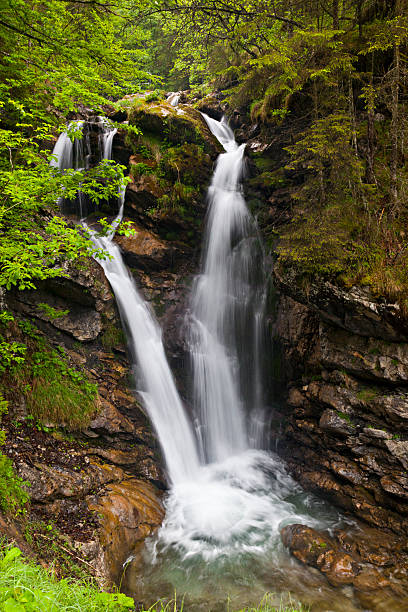 istock Waterfall in the wood 481202786