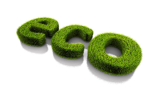 istock grassed conceptual word eco isolated on white background 481202984