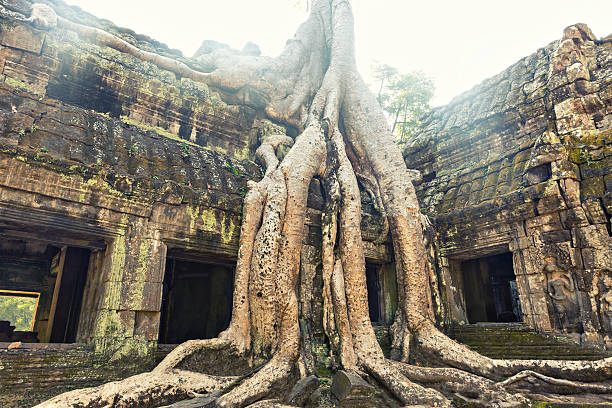 istock Temple in Angkor Thom, Cambodia 481203855