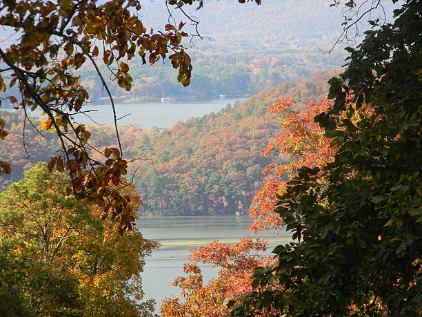 istock Fall at Guntersville Lake in Alabama 481204501
