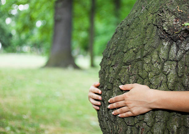 koncepcja ochrony środowiska - human pregnancy earth globe mother zdjęcia i obrazy z banku zdjęć