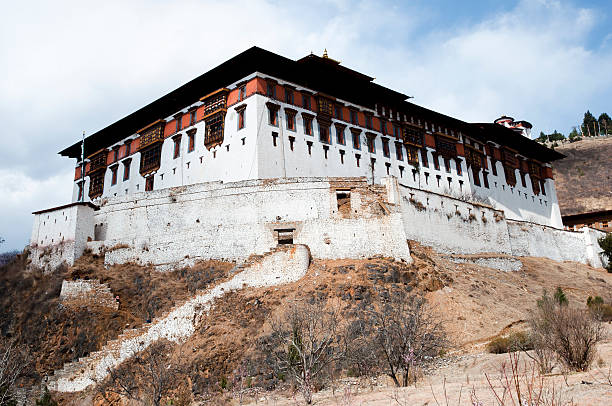 istock Unemployment - Bhutan 481207750